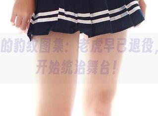 ROSI的豹纹图集：老虎早已退役，豹纹开始统治舞台！