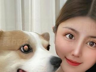 微密圈 – 一场在网盘与奶牛之间的穿越，海豚baby给你带来了什么？