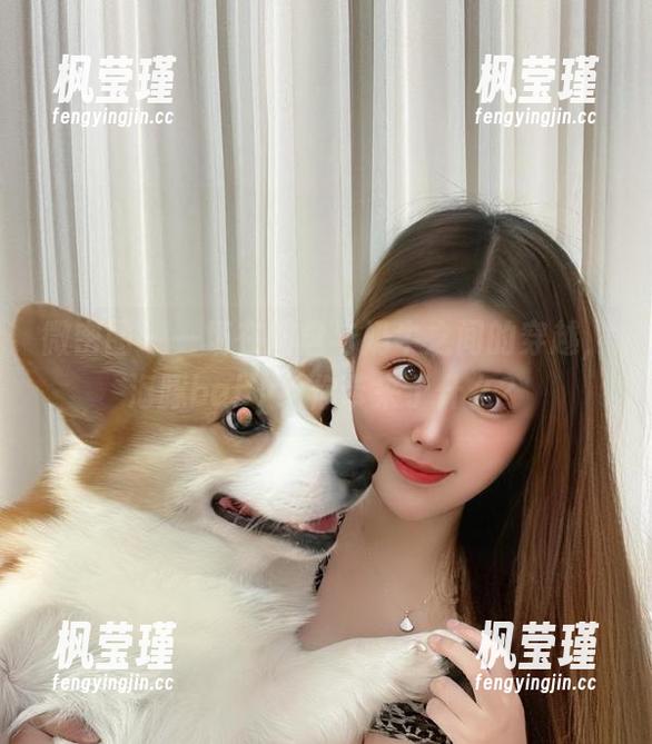 微密圈 - 一场在网盘与奶牛之间的穿越，海豚baby给你带来了什么？