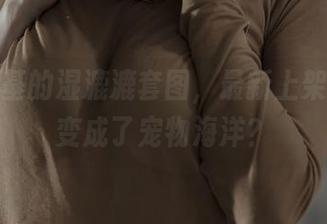 秋和柯基的湿漉漉套图，最新上架！浴室变成了宠物海洋？